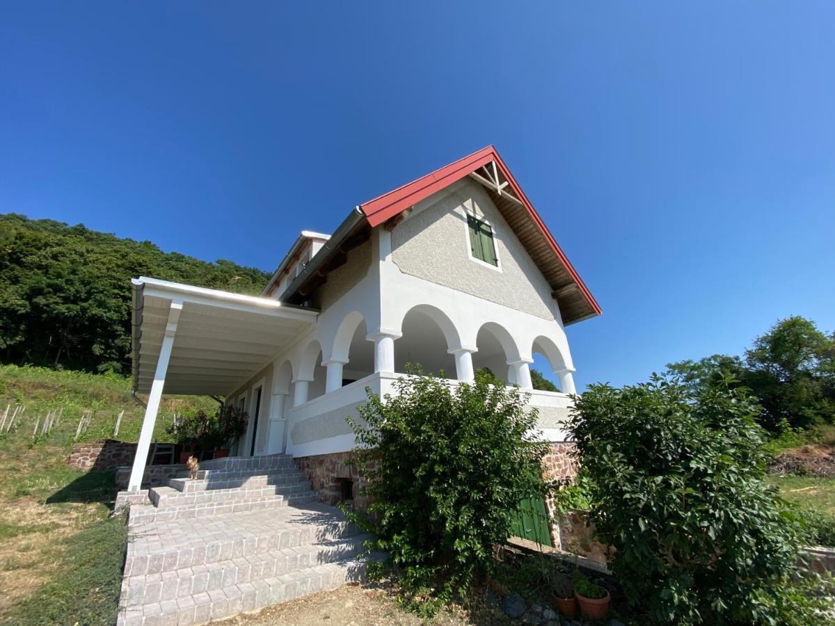 Chateau Segesdi Borapartman Gyulakeszi المظهر الخارجي الصورة